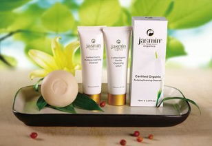 日本值得購買的化妝品與護膚品推薦