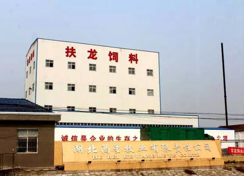 深耕本土，創(chuàng)新制勝 一家湖北小龍蝦飼料企業(yè)的萬(wàn)噸級(jí)突圍之路